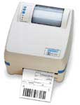 Datamax E-4304 DT/TT
